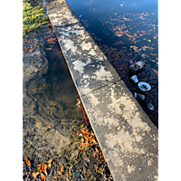 Thanksgiving high tide Norfolk image